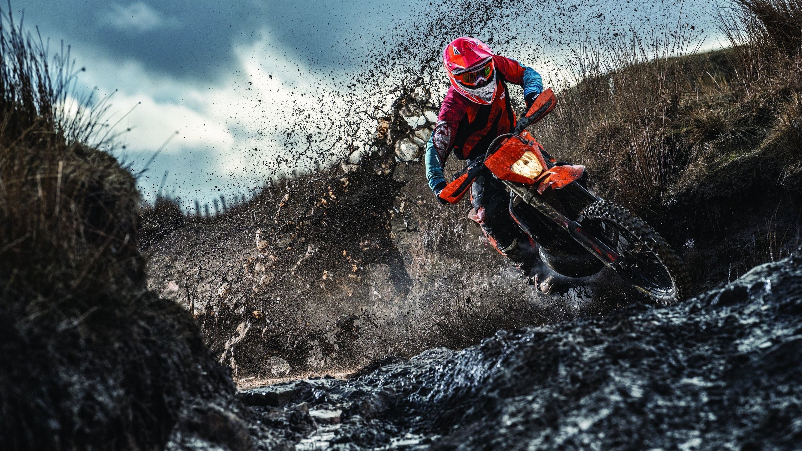 球场特写：运动员的关键瞬间特写镜头，运动员特写镜头200字左右